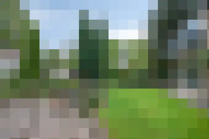 Molenkamp 15 Mierlo thumbnail 44