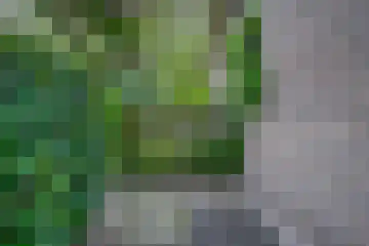 Molenkamp 15 Mierlo thumbnail 45