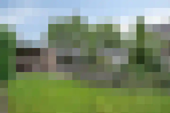 Molenkamp 15 Mierlo thumbnail 46