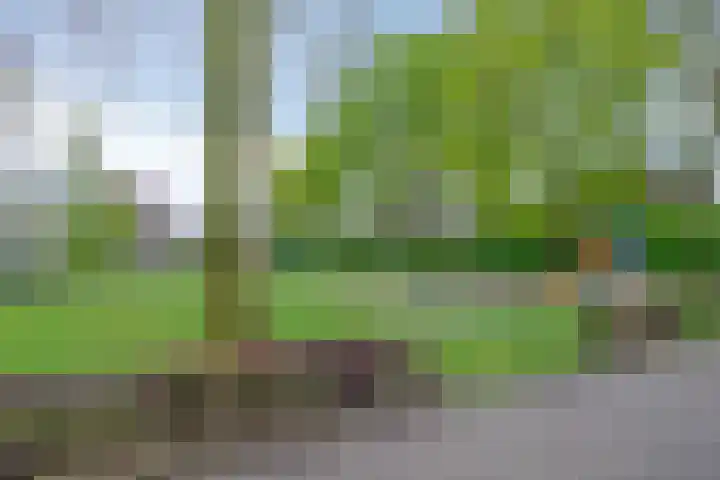 Molenkamp 15 Mierlo thumbnail 47