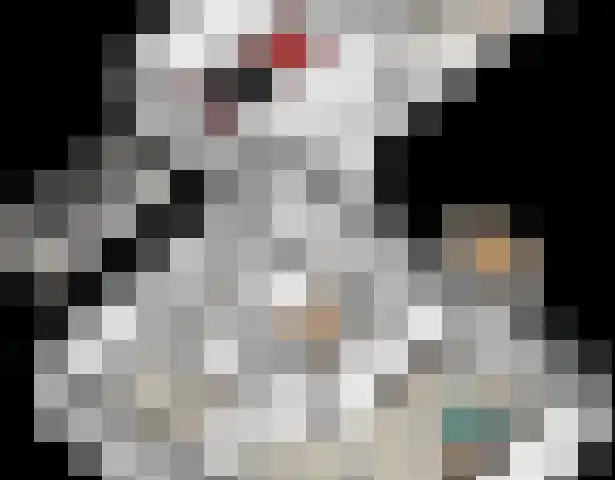 Molenkamp 15 Mierlo thumbnail 53