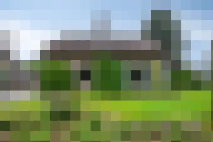 Molenkamp 15 Mierlo thumbnail 7