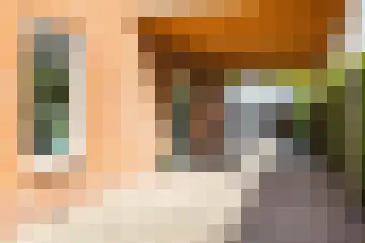 Molenkamp 18 De Groeve thumbnail 12