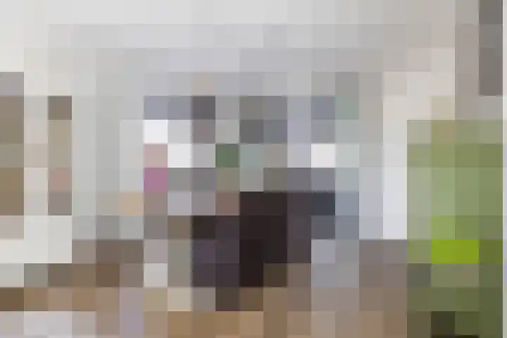Molenkamp 18 De Groeve thumbnail 39