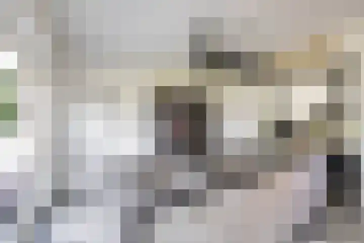 Molenkamp 18 De Groeve thumbnail 45