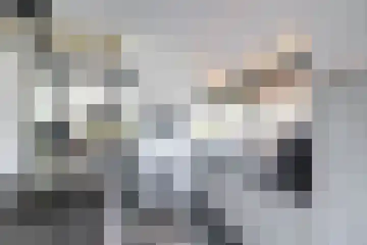 Molenkamp 18 De Groeve thumbnail 46