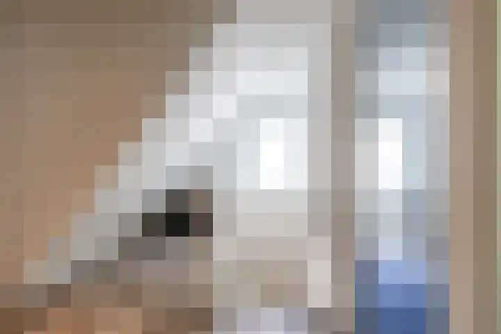 Molenkamp 18 De Groeve thumbnail 53