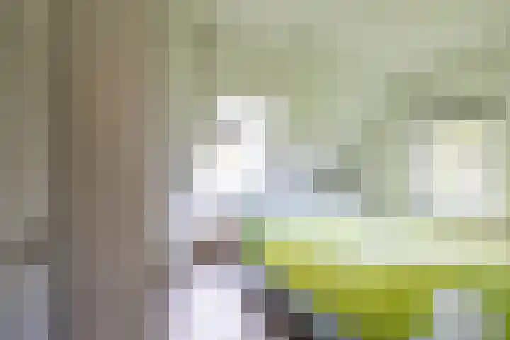 Molenkamp 18 De Groeve thumbnail 56