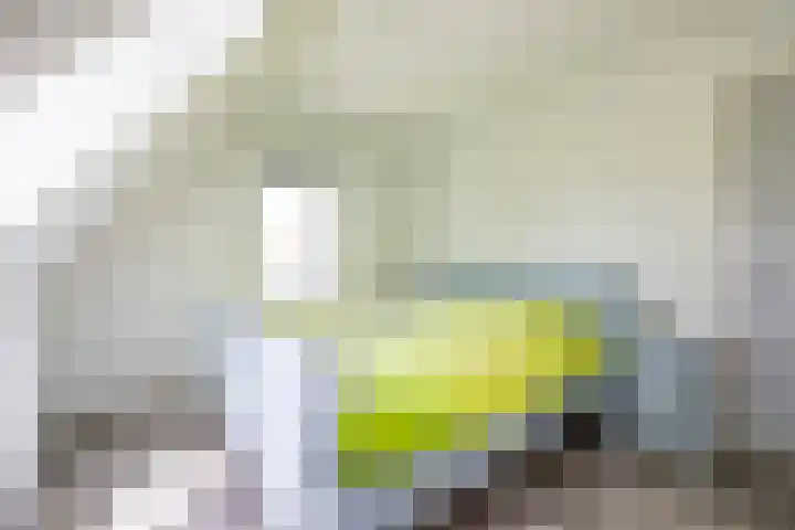 Molenkamp 18 De Groeve thumbnail 58