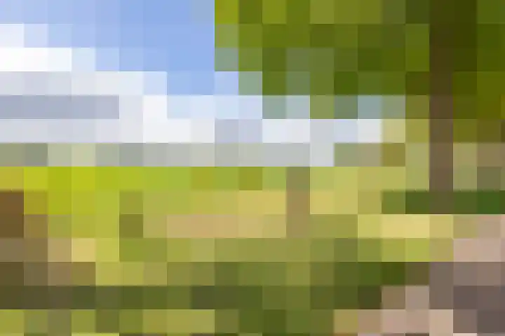 Molenkamp 18 De Groeve thumbnail 6