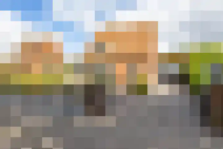 Molenkamp 18 De Groeve thumbnail 8