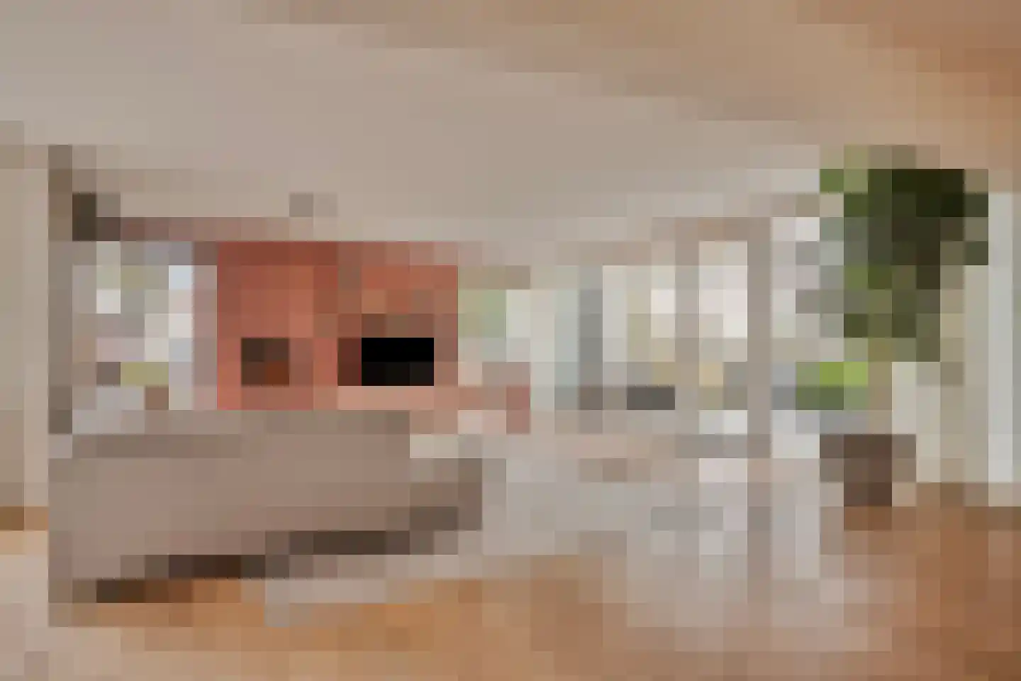 Molenkamp 20 Nuenen thumbnail 12