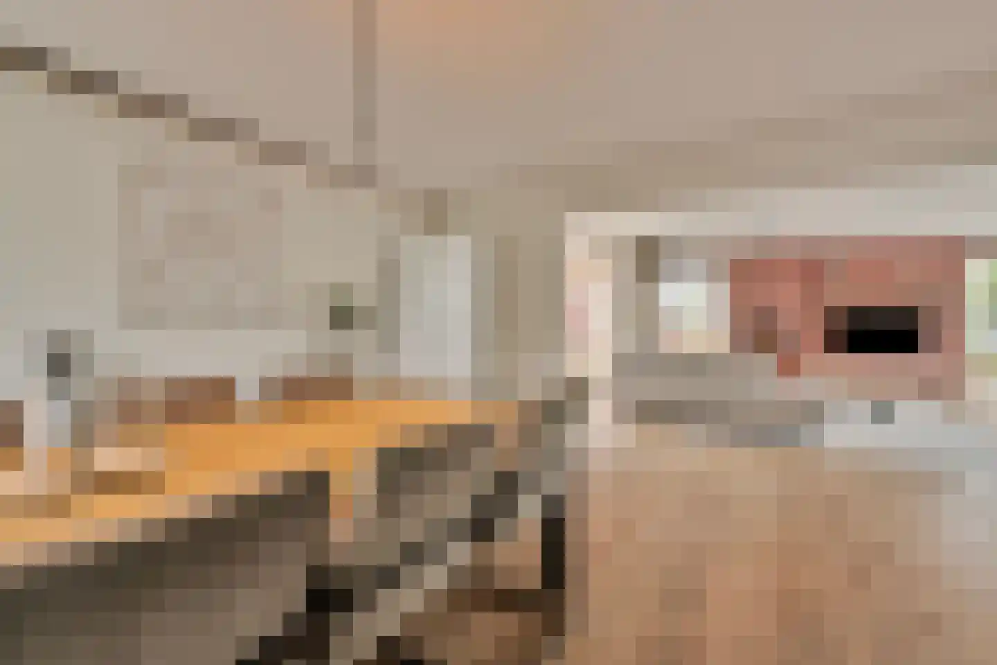 Molenkamp 20 Nuenen thumbnail 19