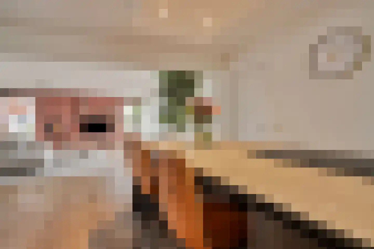Molenkamp 20 Nuenen thumbnail 29