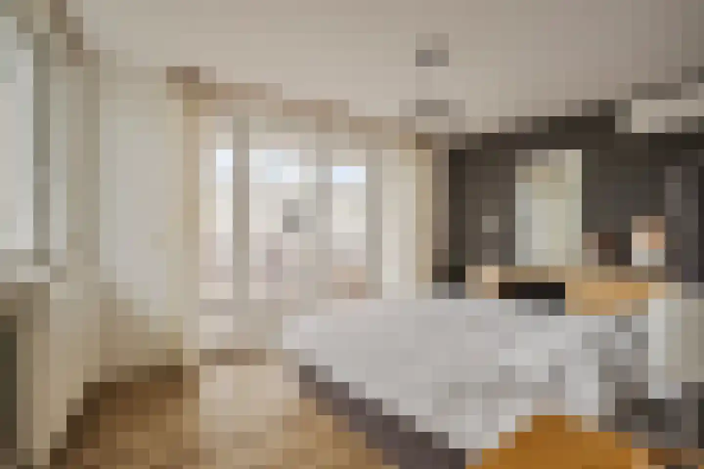 Molenkamp 20 Nuenen thumbnail 46