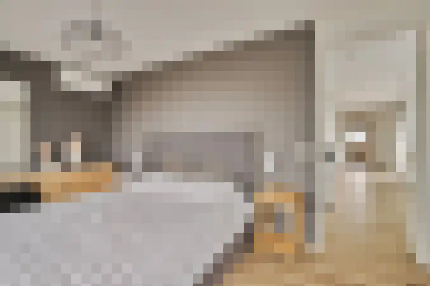 Molenkamp 20 Nuenen thumbnail 47