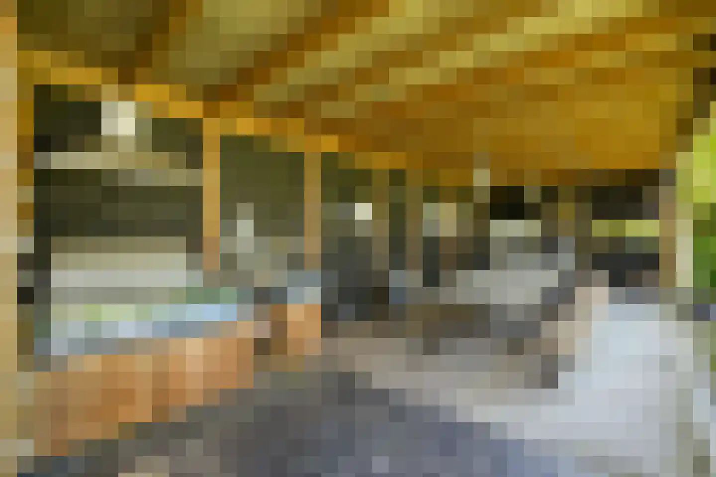 Molenkamp 20 Nuenen thumbnail 59