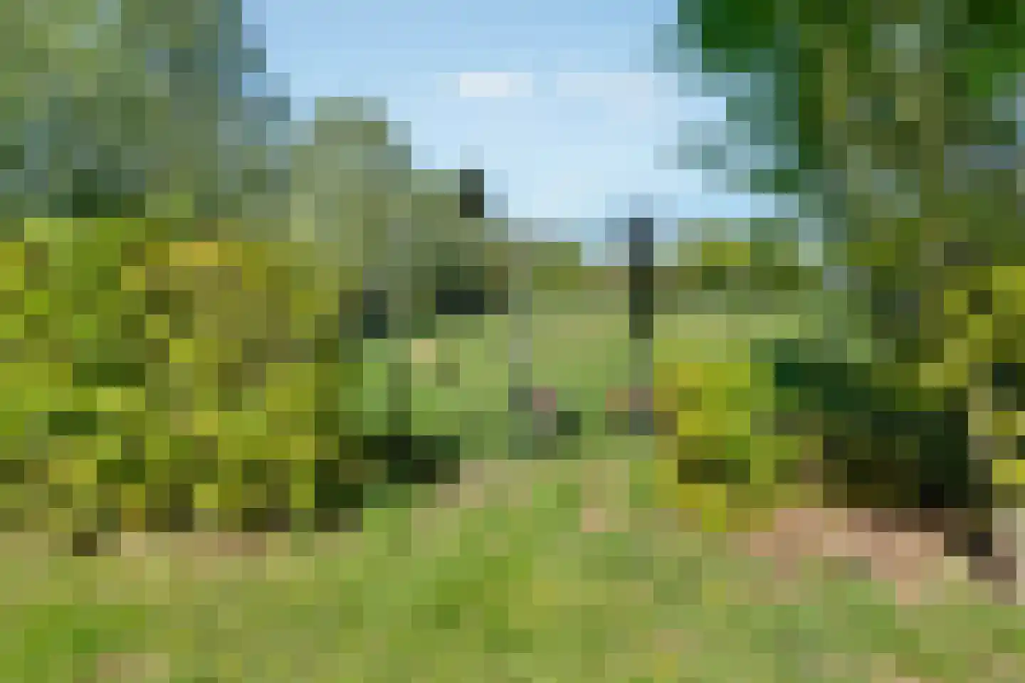 Molenkamp 20 Nuenen thumbnail 61