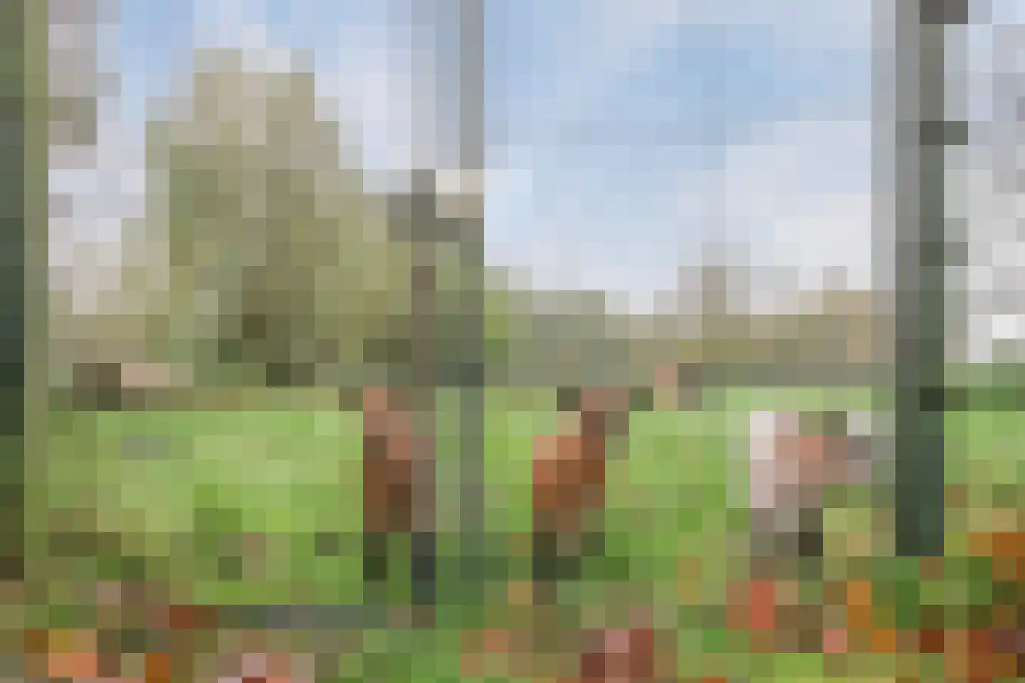 Molenkamp 20 Nuenen thumbnail 63