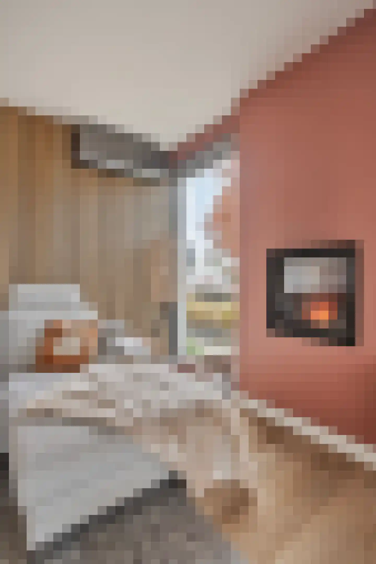 Molenkamp 20 Nuenen thumbnail 9