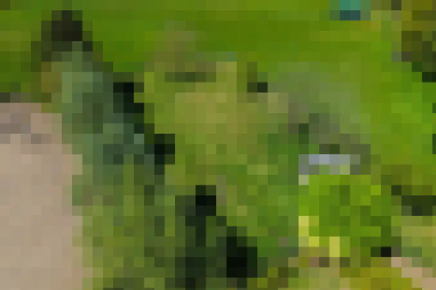 Molenkamp 20 Nuenen thumbnail 92