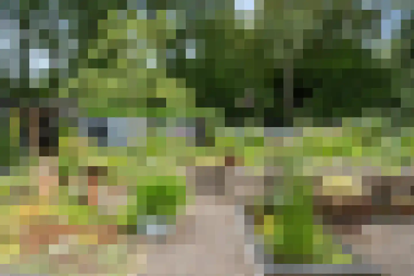 Molenkamp 25 Bennekom thumbnail 11