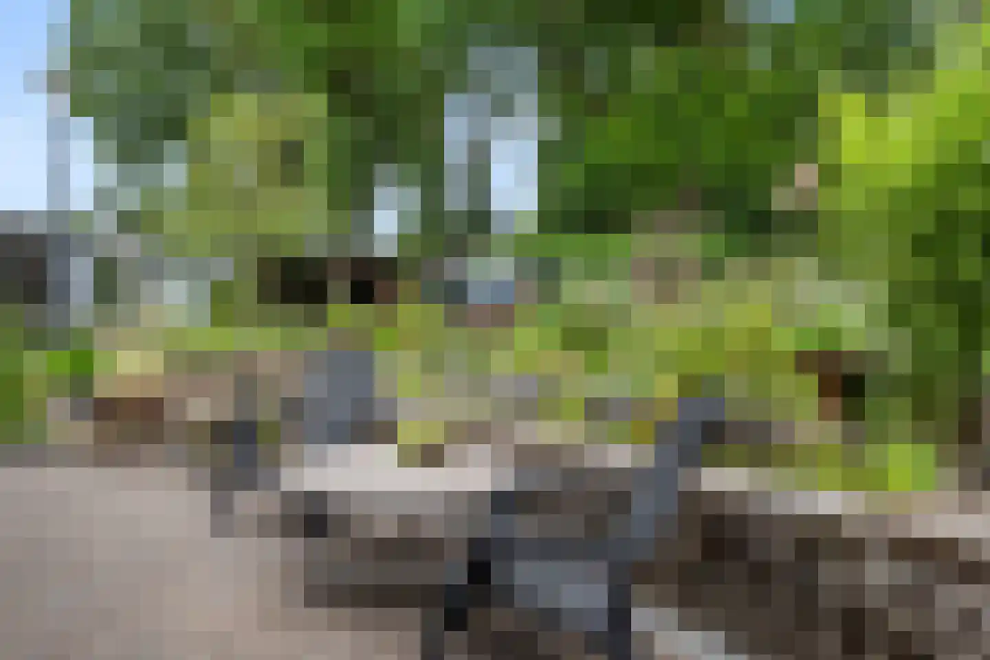 Molenkamp 25 Bennekom thumbnail 13
