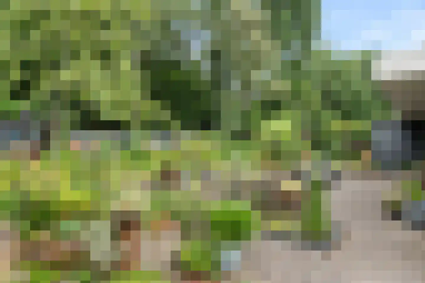 Molenkamp 25 Bennekom thumbnail 16