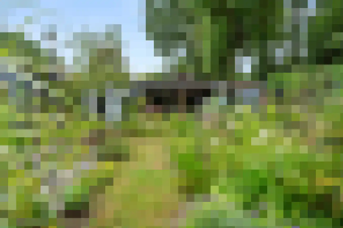 Molenkamp 25 Bennekom thumbnail 18