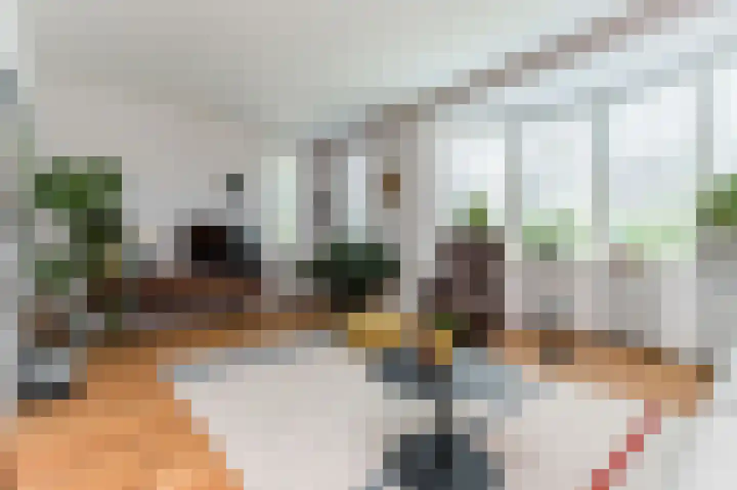 Molenkamp 29 Brakel thumbnail 10