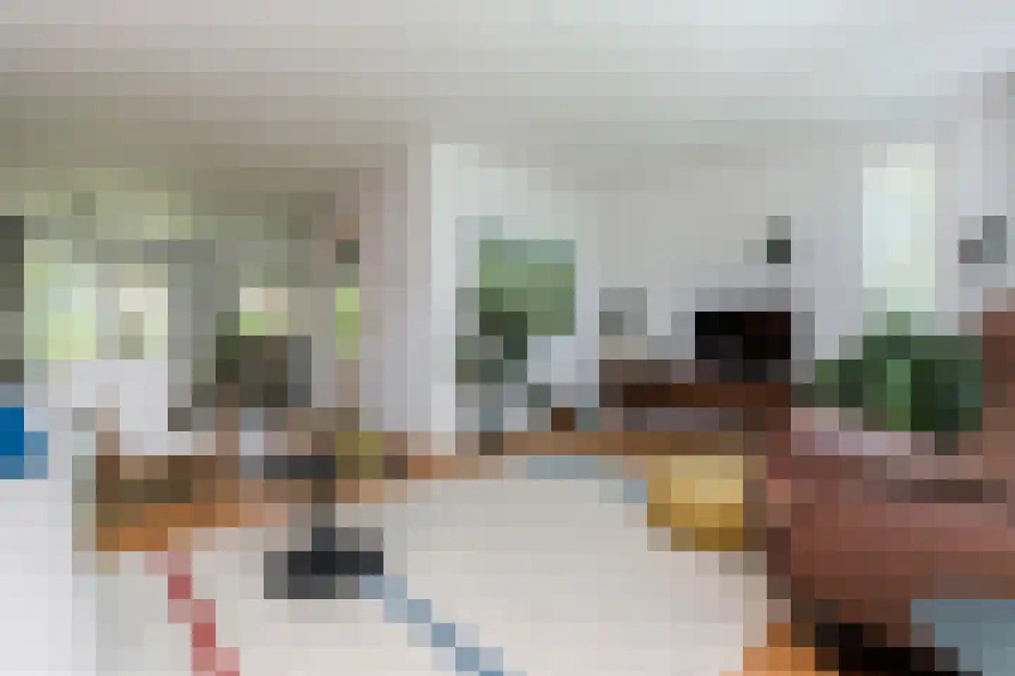 Molenkamp 29 Brakel thumbnail 11