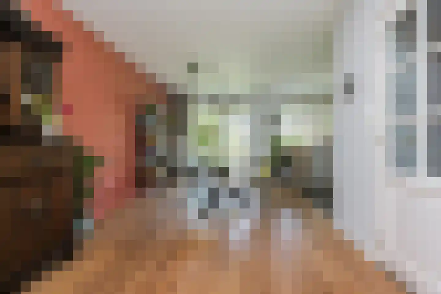 Molenkamp 29 Brakel thumbnail 13