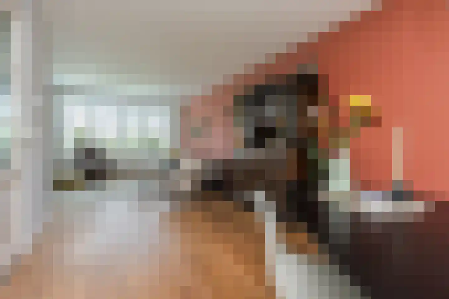 Molenkamp 29 Brakel thumbnail 14