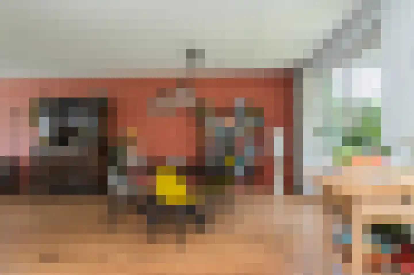 Molenkamp 29 Brakel thumbnail 15