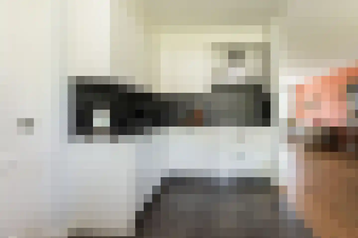 Molenkamp 29 Brakel thumbnail 18