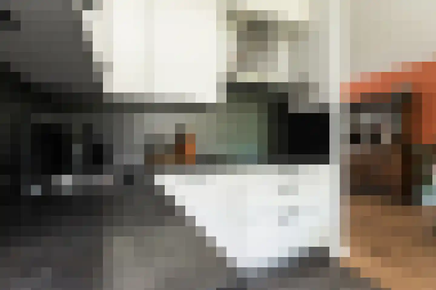 Molenkamp 29 Brakel thumbnail 19