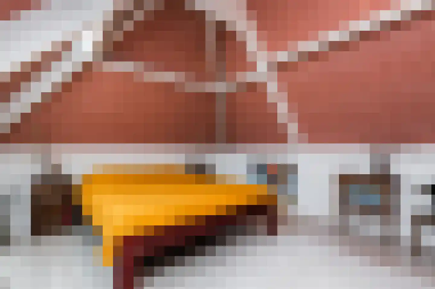 Molenkamp 29 Brakel thumbnail 26