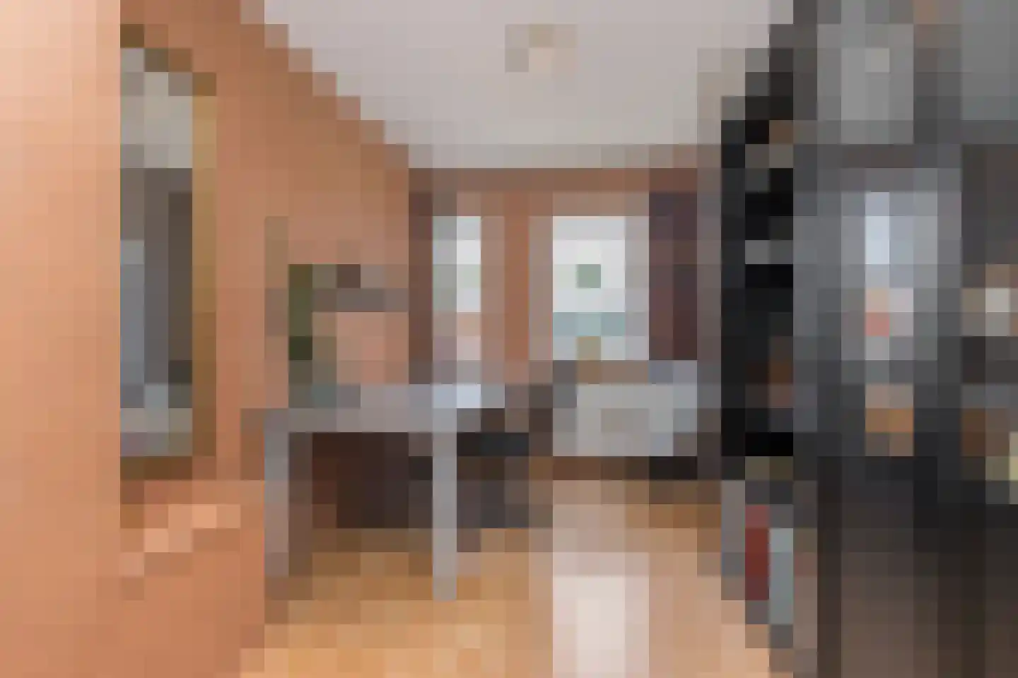 Molenkamp 29 Brakel thumbnail 27