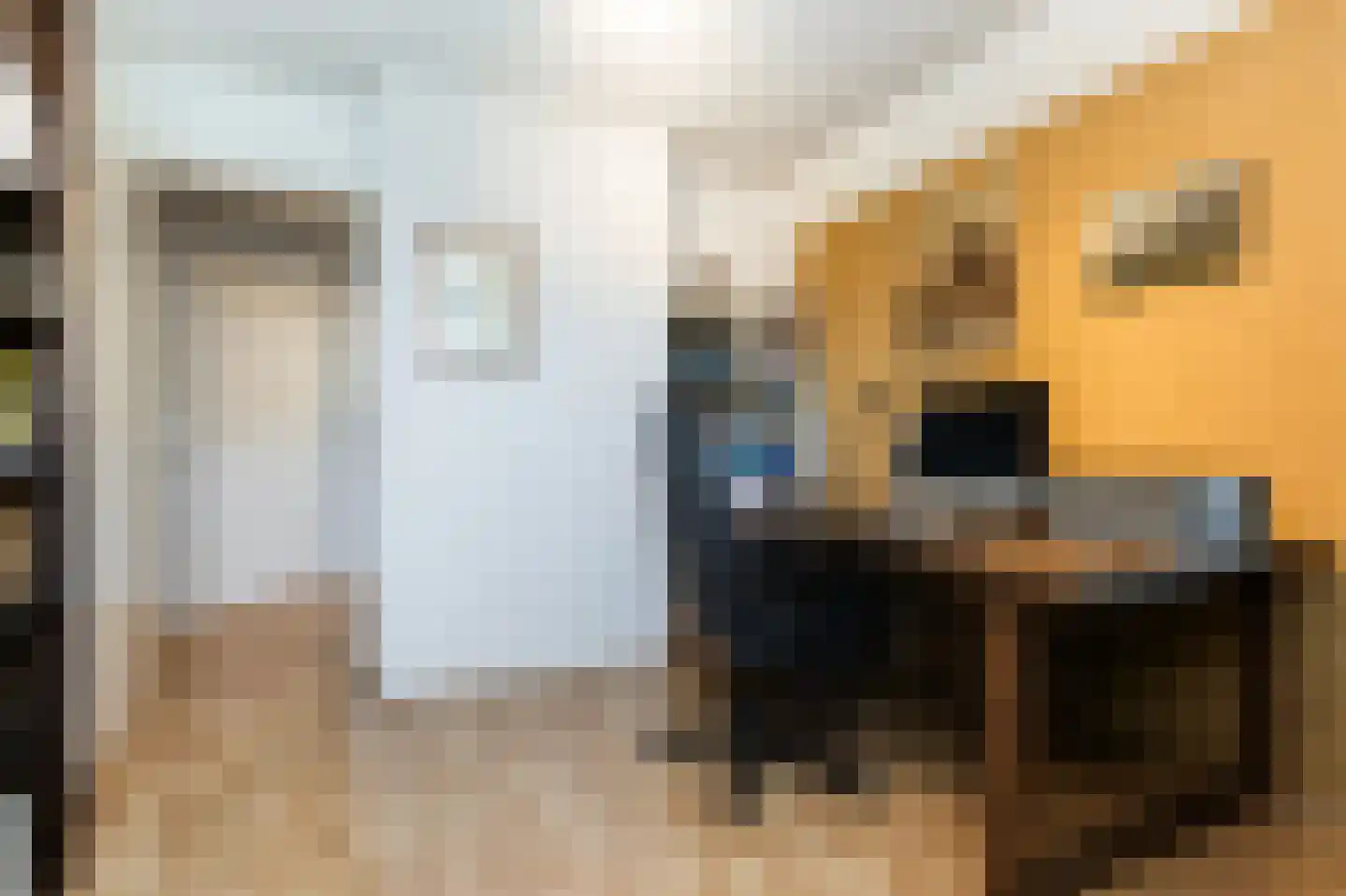 Molenkamp 29 Brakel thumbnail 32