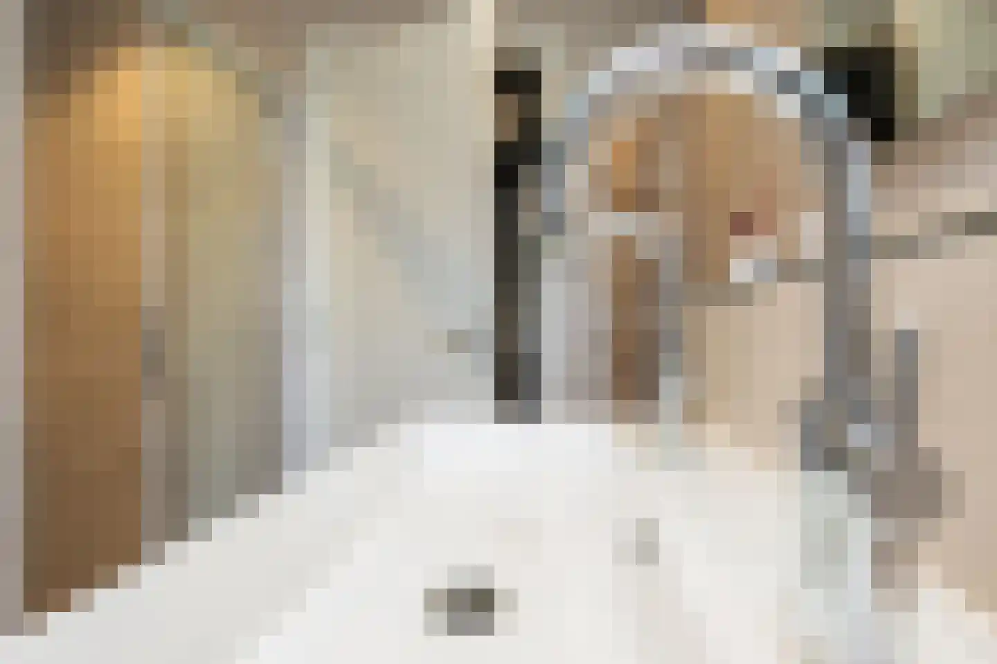 Molenkamp 29 Brakel thumbnail 37