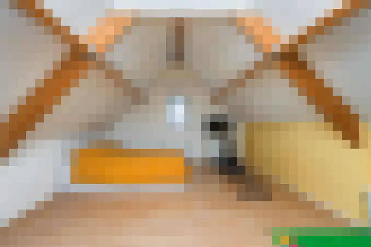 Molenkamp 29 Brakel thumbnail 38