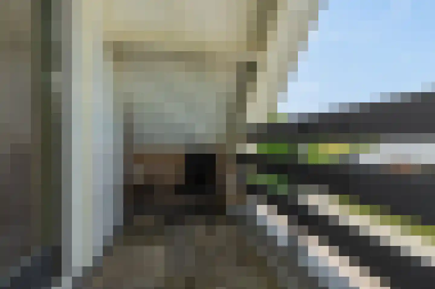 Molenkamp 29 Brakel thumbnail 39