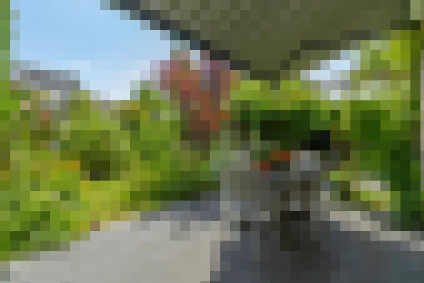 Molenkamp 29 Brakel thumbnail 4