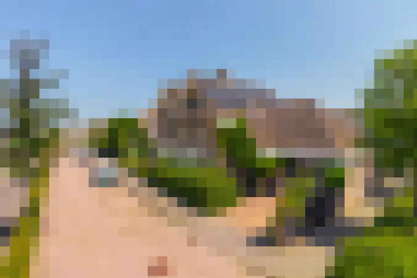 Molenkamp 29 Brakel thumbnail 41