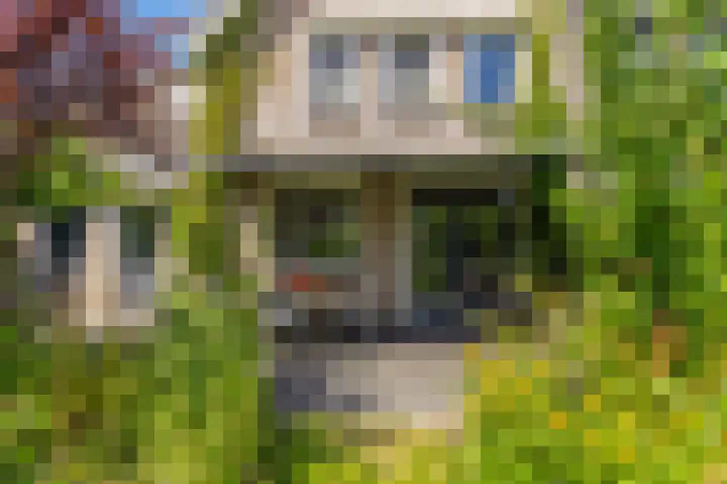 Molenkamp 29 Brakel thumbnail 43