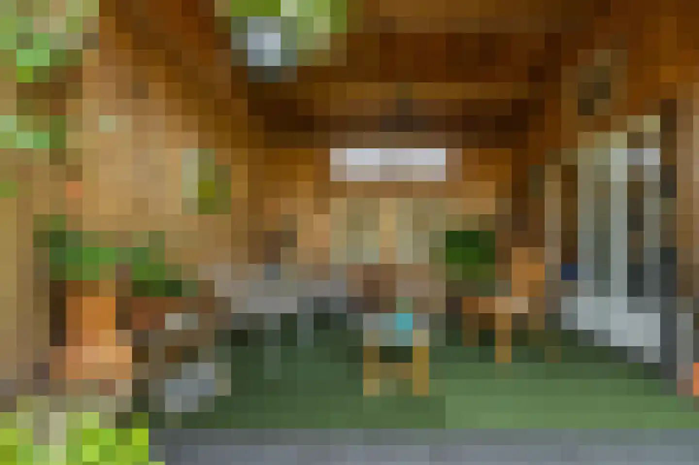 Molenkamp 29 Brakel thumbnail 45