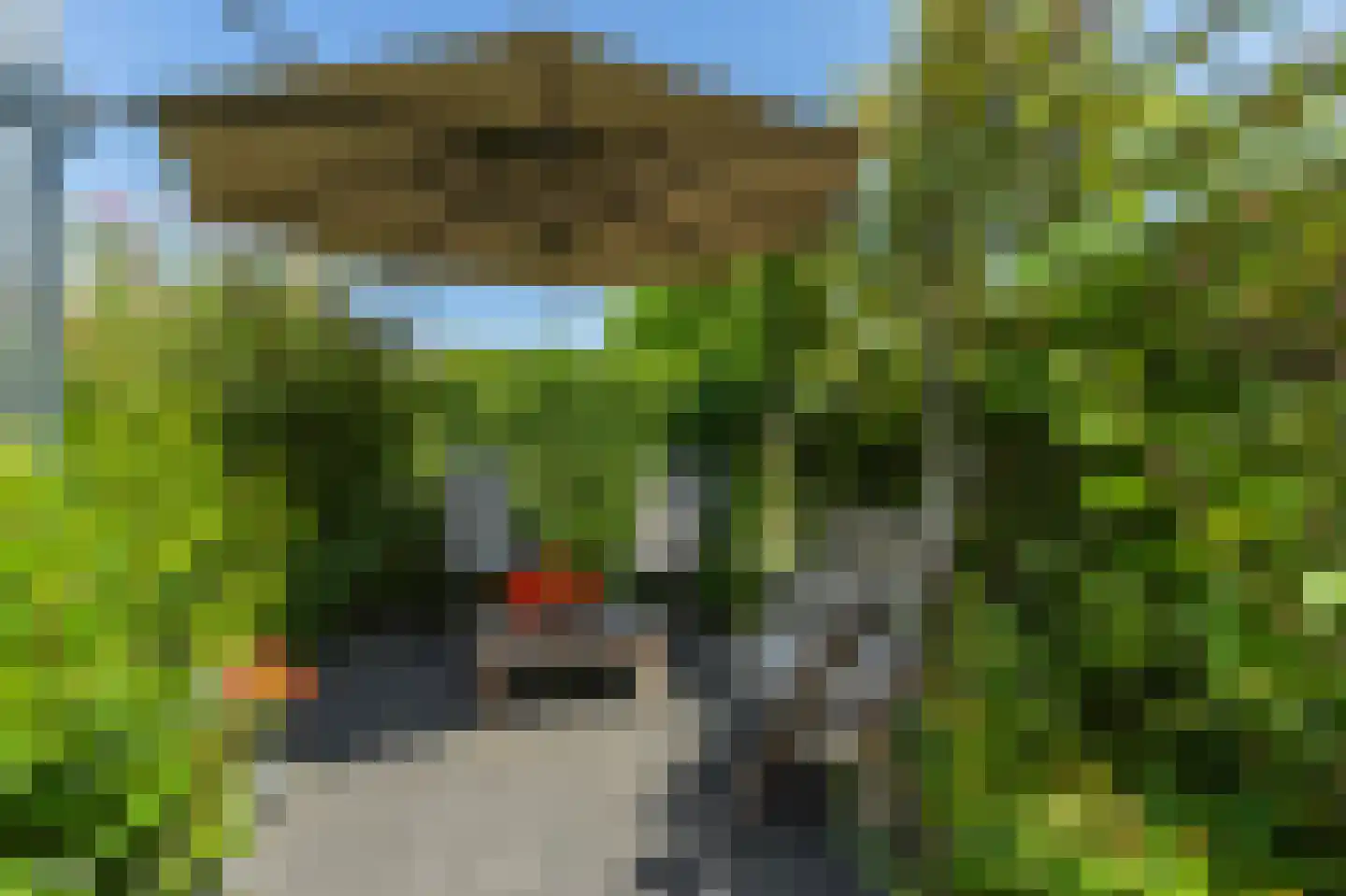 Molenkamp 29 Brakel thumbnail 46