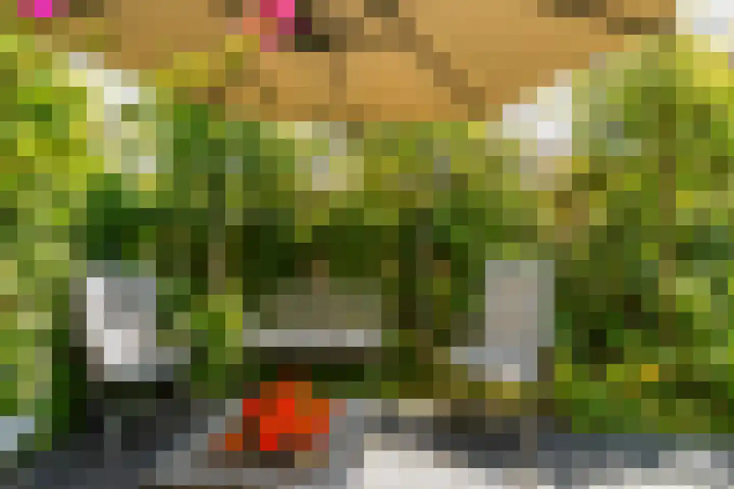 Molenkamp 29 Brakel thumbnail 47