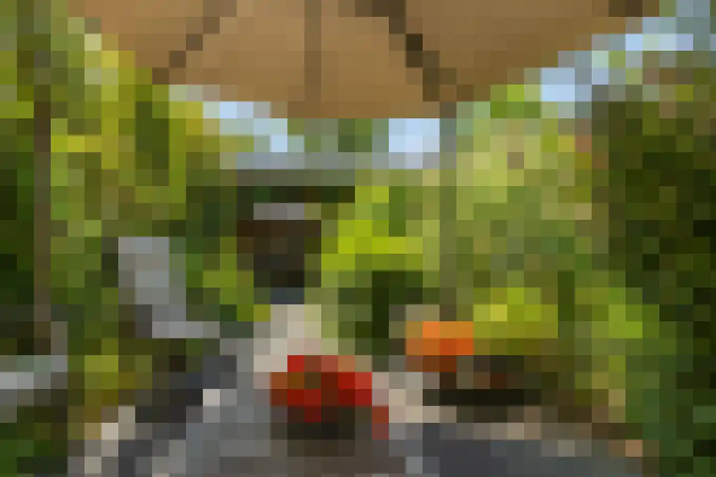Molenkamp 29 Brakel thumbnail 48
