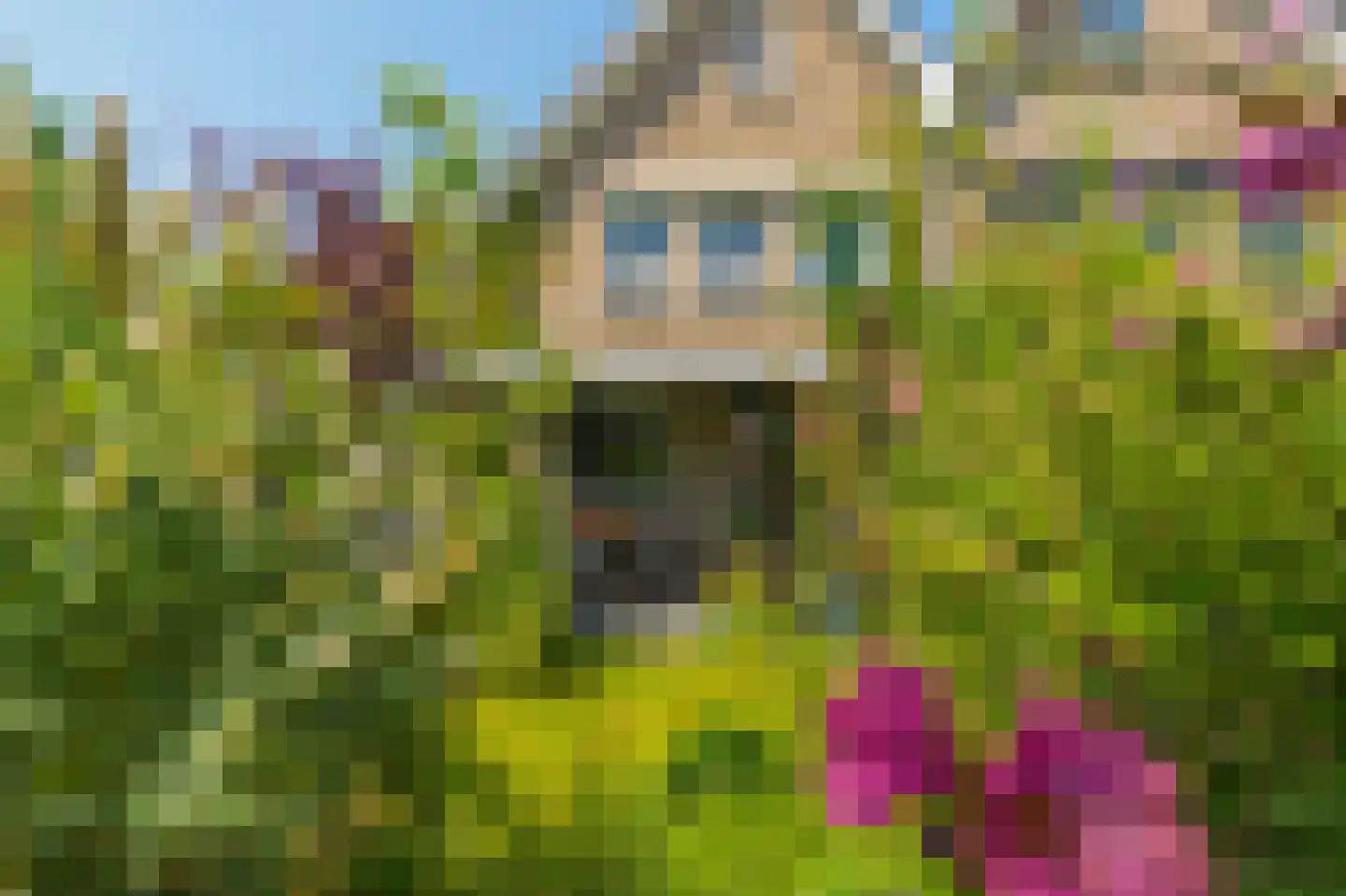 Molenkamp 29 Brakel thumbnail 49